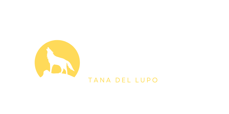 Attività sul Po